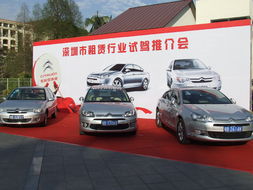 強(qiáng)強(qiáng)聯(lián)手 東風(fēng)雪鐵龍汽車(chē)租賃行業(yè)試駕會(huì)圓滿(mǎn)舉行