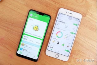 小格雷攜手OPPO，為學生群體量身打造專屬手機